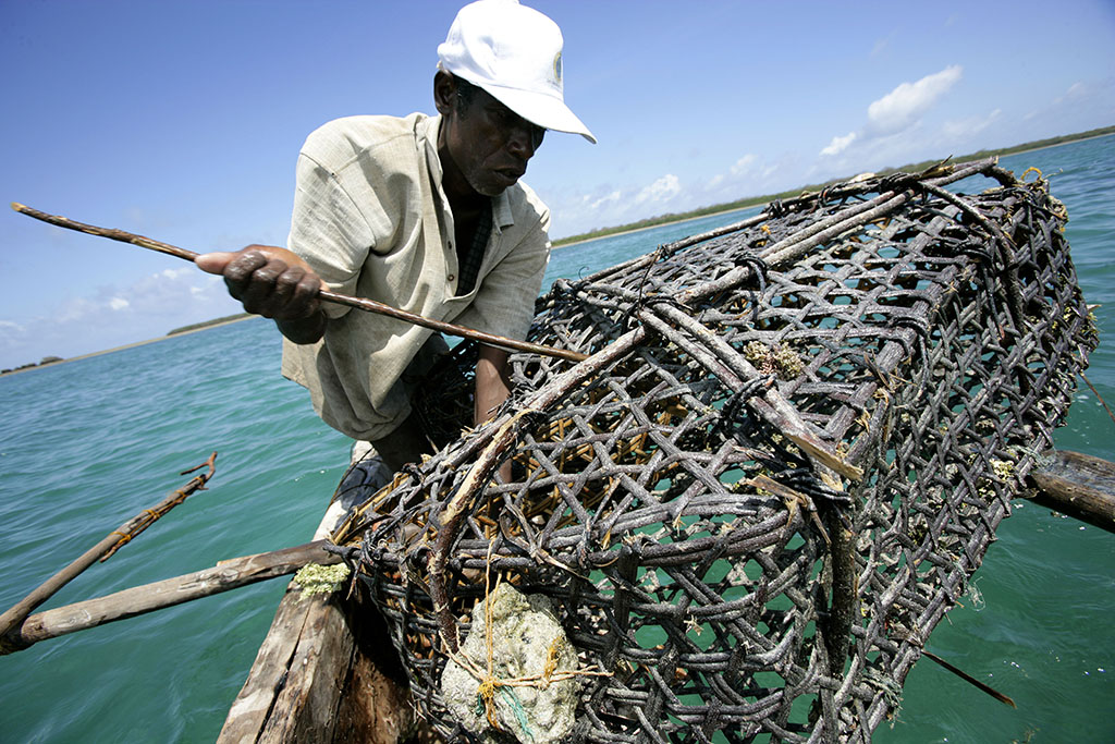 Marine And Fisheries Global Environmental Conservation Organization